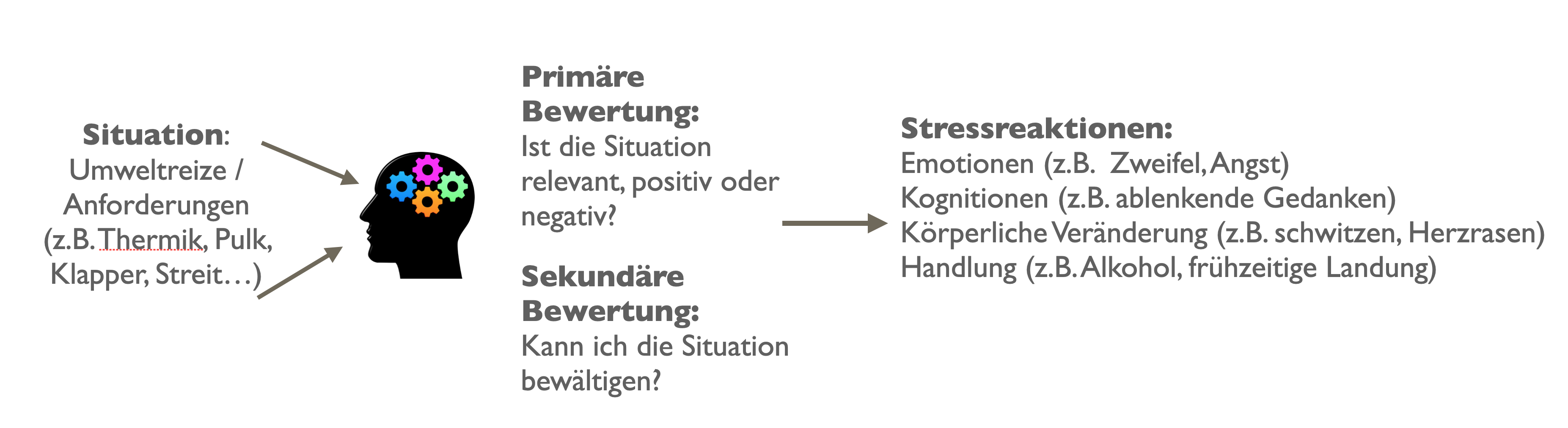 Transaktionale Stressmodell