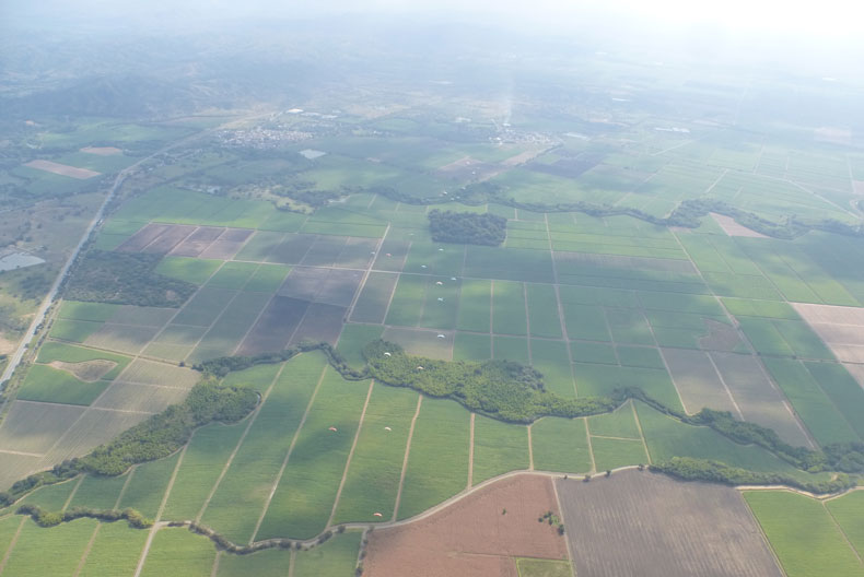 Die Führenden auf dem Weg ins Ziel