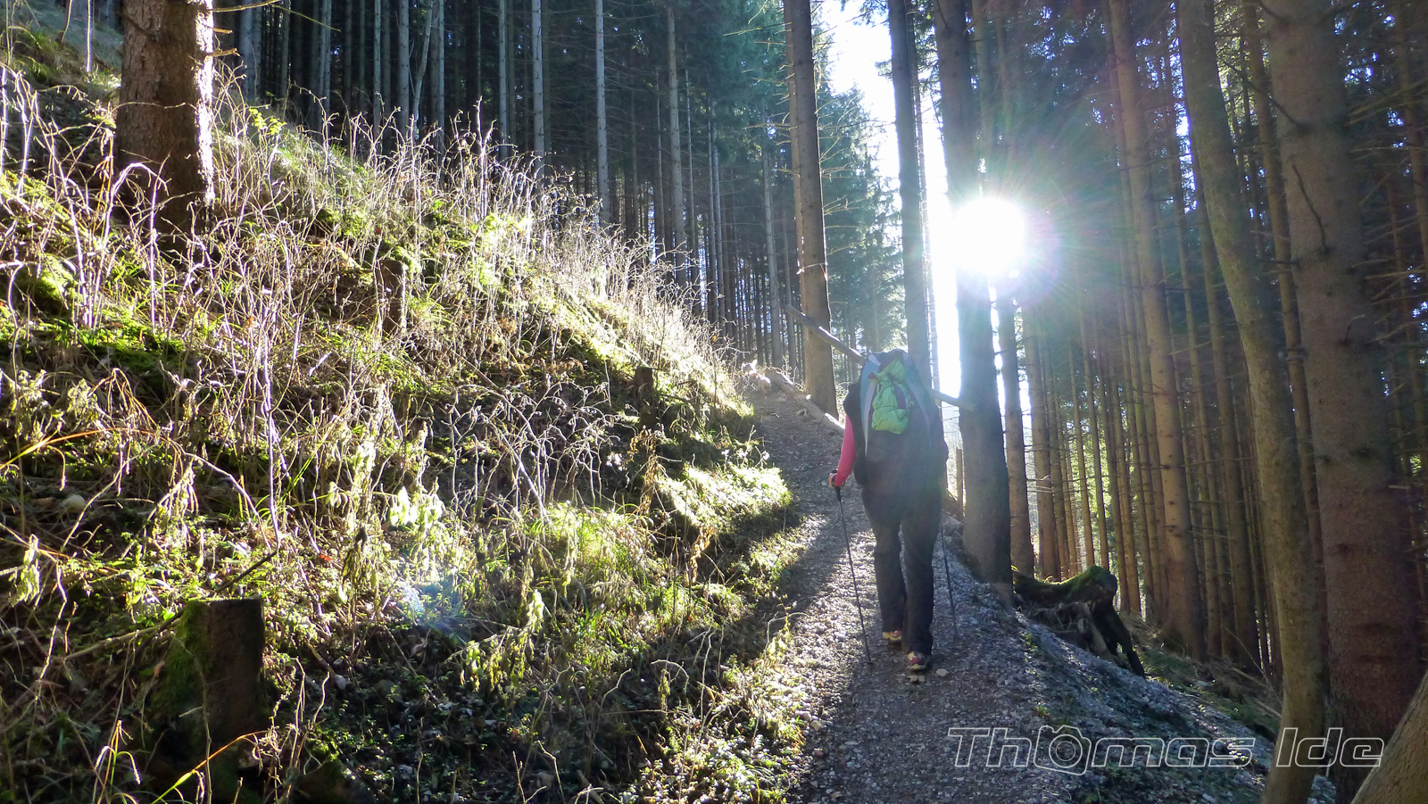 Aufstieg durch den Wald