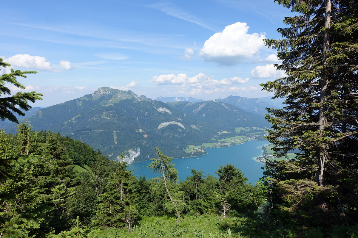 Weg zum Zwölferhorn