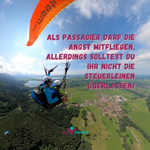 Angst_als_passagier-500