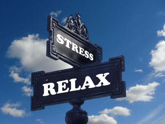 stress-391657_1280-geralt-pixabay
